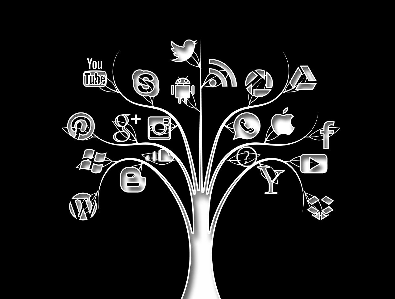 social media, tree, structure